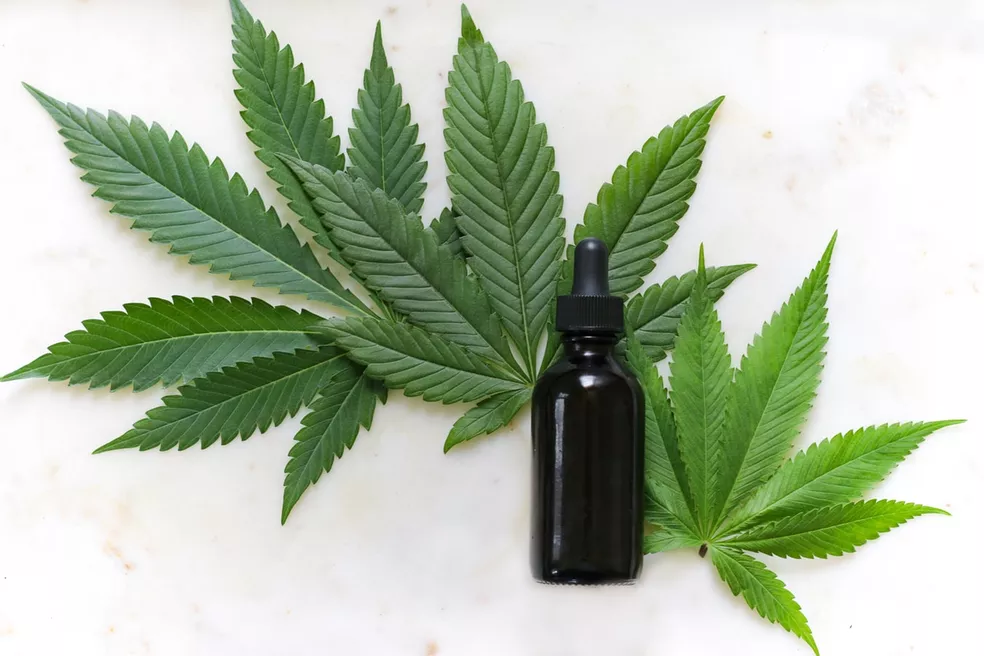 Fonte: https://www.outlookindia.com/outlook-spotlight/medical-cannabis-in-the-uk-and-how-it-is-evolving-news-289006